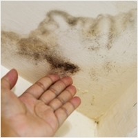 다르다누수탐지 다르다방수공사 PC 갤러리 8