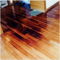 다르다누수탐지 다르다방수공사 PC 갤러리 6